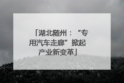 湖北随州：“专用汽车走廊”掀起产业新变革