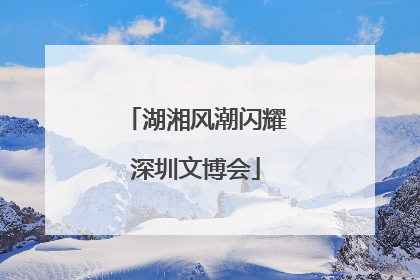 湖湘风潮闪耀深圳文博会