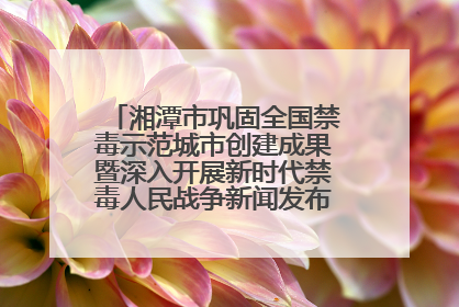 湘潭市巩固全国禁毒示范城市创建成果暨深入开展新时代禁毒人民战争新闻发布会答记者问摘录