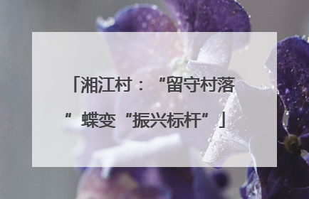 湘江村：“留守村落”蝶变“振兴标杆”