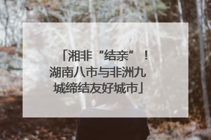 湘非“结亲”！湖南八市与非洲九城缔结友好城市