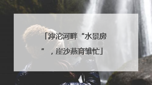 滹沱河畔“水景房”，崖沙燕育雏忙