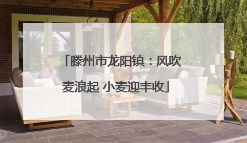 滕州市龙阳镇：风吹麦浪起 小麦迎丰收
