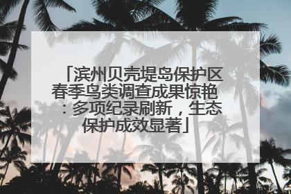 滨州贝壳堤岛保护区春季鸟类调查成果惊艳：多项纪录刷新，生态保护成效显著