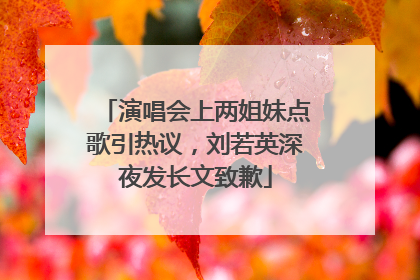 演唱会上两姐妹点歌引热议，刘若英深夜发长文致歉