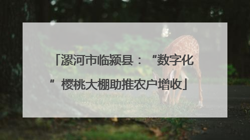 漯河市临颍县：“数字化”樱桃大棚助推农户增收
