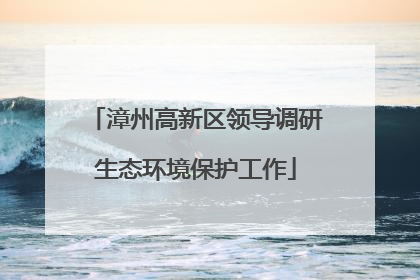 漳州高新区领导调研生态环境保护工作