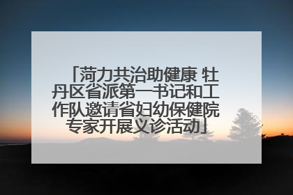 菏力共治助健康 牡丹区省派第一书记和工作队邀请省妇幼保健院专家开展义诊活动