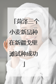 菏泽三个小麦新品种在新疆戈壁滩试种成功