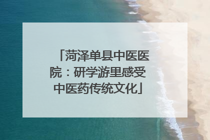 菏泽单县中医医院：研学游里感受中医药传统文化