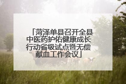 菏泽单县召开全县中医药护佑健康成长行动省级试点暨无偿献血工作会议