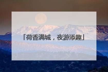 荷香满城，夜游添趣