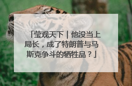 莹观天下｜他没当上局长，成了特朗普与马斯克争斗的牺牲品？