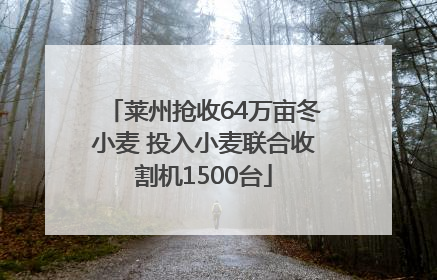 莱州抢收64万亩冬小麦 投入小麦联合收割机1500台