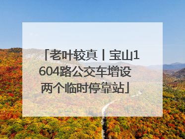 老叶较真丨宝山1604路公交车增设两个临时停靠站