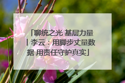 聊统之光 基层力量丨李云：用脚步丈量数据 用责任守护真实