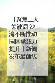 聚焦三大关键词 沙湾不断推动园区承载力提升丨新闻发布最前线