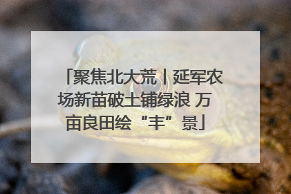 聚焦北大荒丨延军农场新苗破土铺绿浪 万亩良田绘“丰”景