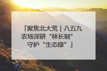 聚焦北大荒｜八五九农场深耕“林长制” 守护“生态绿”