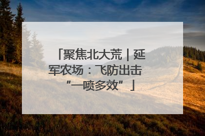 聚焦北大荒｜延军农场：飞防出击 “一喷多效”