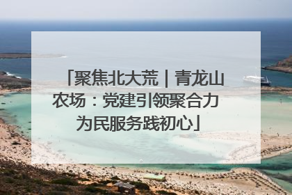 聚焦北大荒｜青龙山农场：党建引领聚合力 为民服务践初心