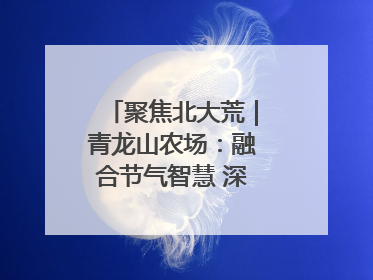 聚焦北大荒｜青龙山农场：融合节气智慧 深耕安全沃土