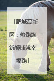 肥城高新区：修路焕新颜铺就幸福路