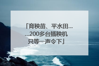 育秧苗、平水田……200多台插秧机只等一声令下