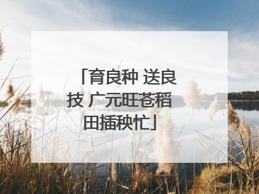 育良种 送良技 广元旺苍稻田插秧忙