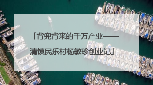 背兜背来的千万产业——清镇民乐村杨敏珍创业记