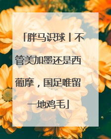 胖马识球丨不管美加墨还是西葡摩，国足唯留一地鸡毛