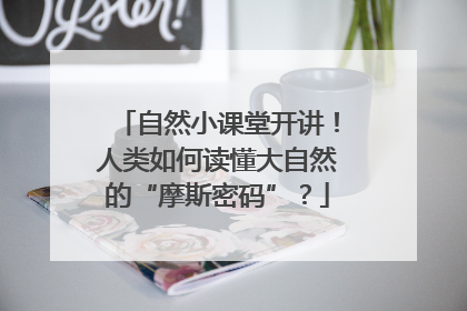 自然小课堂开讲！人类如何读懂大自然的“摩斯密码”？