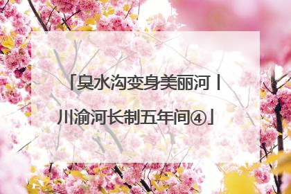 臭水沟变身美丽河丨川渝河长制五年间④