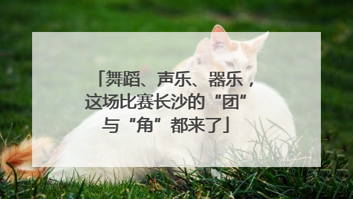舞蹈、声乐、器乐，这场比赛长沙的“团”与“角”都来了