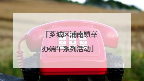 芗城区浦南镇举办端午系列活动