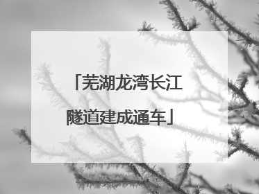 芜湖龙湾长江隧道建成通车