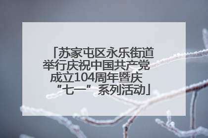 苏家屯区永乐街道举行庆祝中国共产党成立104周年暨庆“七一”系列活动