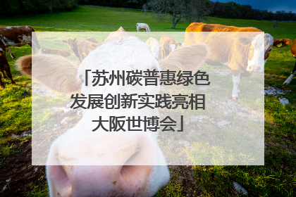 苏州碳普惠绿色发展创新实践亮相大阪世博会