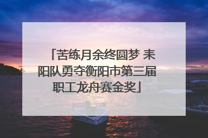 苦练月余终圆梦 耒阳队勇夺衡阳市第三届职工龙舟赛金奖
