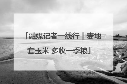 融媒记者一线行｜麦地套玉米 多收一季粮