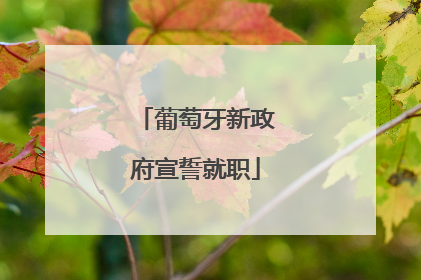 葡萄牙新政府宣誓就职