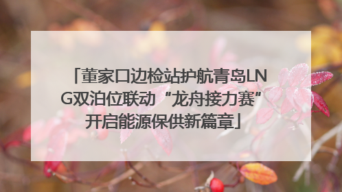 董家口边检站护航青岛LNG双泊位联动“龙舟接力赛” 开启能源保供新篇章