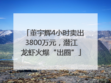 董宇辉4小时卖出3800万元，潜江龙虾火爆“出圈”