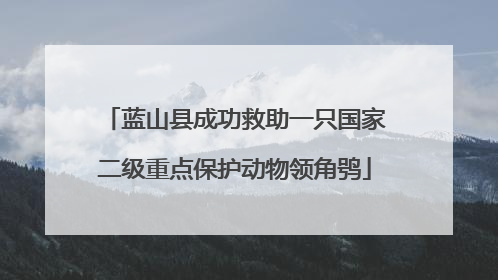 蓝山县成功救助一只国家二级重点保护动物领角鸮