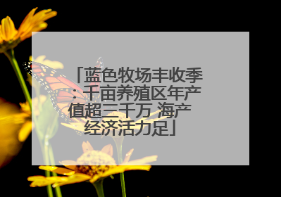 蓝色牧场丰收季：千亩养殖区年产值超三千万 海产经济活力足