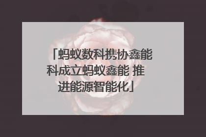 蚂蚁数科携协鑫能科成立蚂蚁鑫能 推进能源智能化
