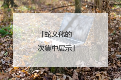 蛇文化的一次集中展示