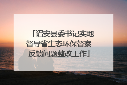 诏安县委书记实地督导省生态环保督察反馈问题整改工作