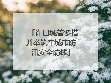 许昌城管多措并举筑牢城市防汛安全防线