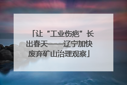 让“工业伤疤”长出春天——辽宁加快废弃矿山治理观察